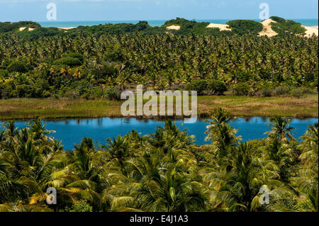 Pirambu Strand, Lagune mit frischem Wasser und tropische Vegetation. Sergipe Zustand, Nordosten von Brasilien. Stockfoto