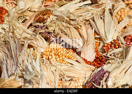 Dekorative Mais auf dem Herbstmarkt Stockfoto