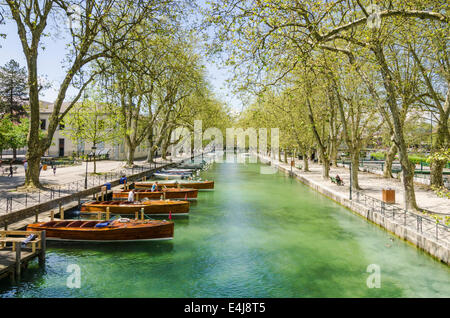 Traditionelle Holzboote festgemacht an den Bäumen gesäumten Canal du Vasse, Annecy, Haute-Savoie Rhone-Alpes, Frankreich Stockfoto