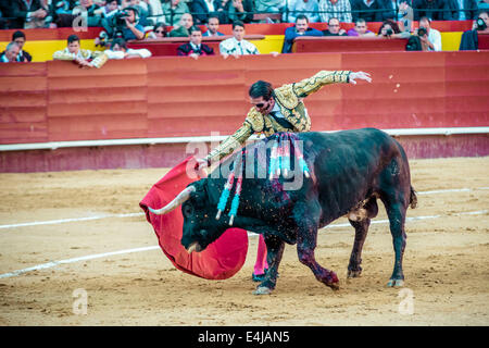 Valencia, Spanien. 16. März 2014. Spanischer Stierkämpfer JUAN JOSE PADILLA führt einen Muleta Pass beim Stierkampf in der Plaza Toros de Valencia, während die Fallas. Ein paar tausend Zuschauern gab Juan Jose Padilla ein Held empfangen in der Plaza de Toros von Valencia während die Fallas. Padilla trägt eine Augenklappe, gewinnt den Spitznamen "The Pirate", da er von einem Stier im Jahr 2011 schwer verletzt wurde. © Matthias Oesterle/ZUMA Wire/ZUMAPRESS.com/Alamy Live-Nachrichten Stockfoto