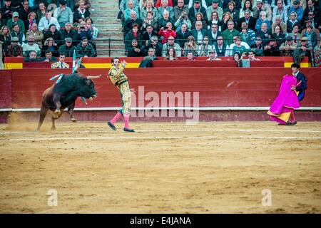 Valencia, Spanien. 16. März 2014. Spanischer Stierkämpfer JUAN JOSE PADILLA beim Stierkampf in der Plaza Toros de Valencia während die Fallas. Ein paar tausend Zuschauern gab Juan Jose Padilla ein Held empfangen in der Plaza de Toros von Valencia während die Fallas. Padilla trägt eine Augenklappe, gewinnt den Spitznamen "The Pirate", da er von einem Stier im Jahr 2011 schwer verletzt wurde. © Matthias Oesterle/ZUMA Wire/ZUMAPRESS.com/Alamy Live-Nachrichten Stockfoto