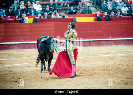 Valencia, Spanien. 16. März 2014. Spanischer Stierkämpfer JUAN JOSE PADILLA beim Stierkampf in der Plaza Toros de Valencia während die Fallas. Ein paar tausend Zuschauern gab Juan Jose Padilla ein Held empfangen in der Plaza de Toros von Valencia während die Fallas. Padilla trägt eine Augenklappe, gewinnt den Spitznamen "The Pirate", da er von einem Stier im Jahr 2011 schwer verletzt wurde. © Matthias Oesterle/ZUMA Wire/ZUMAPRESS.com/Alamy Live-Nachrichten Stockfoto