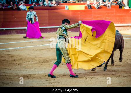 Valencia, Spanien. 16. März 2014. Spanischer Stierkämpfer JUAN JOSE PADILLA führt einen Capote Pass beim Stierkampf in der Plaza Toros de Valencia, während die Fallas. Ein paar tausend Zuschauern gab Juan Jose Padilla ein Held empfangen in der Plaza de Toros von Valencia während die Fallas. Padilla trägt eine Augenklappe, gewinnt den Spitznamen "The Pirate", da er von einem Stier im Jahr 2011 schwer verletzt wurde. © Matthias Oesterle/ZUMA Wire/ZUMAPRESS.com/Alamy Live-Nachrichten Stockfoto