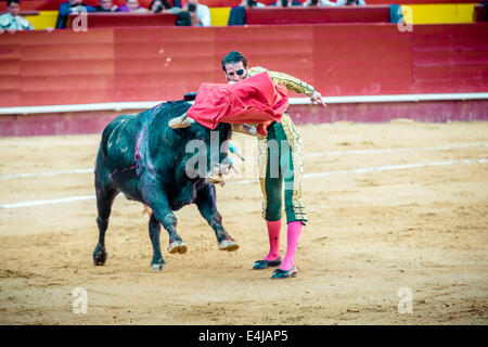 Valencia, Spanien. 16. März 2014. Spanischer Stierkämpfer JUAN JOSE PADILLA führt einen Muleta Pass beim Stierkampf in der Plaza Toros de Valencia, während die Fallas. Ein paar tausend Zuschauern gab Juan Jose Padilla ein Held empfangen in der Plaza de Toros von Valencia während die Fallas. Padilla trägt eine Augenklappe, gewinnt den Spitznamen "The Pirate", da er von einem Stier im Jahr 2011 schwer verletzt wurde. © Matthias Oesterle/ZUMA Wire/ZUMAPRESS.com/Alamy Live-Nachrichten Stockfoto