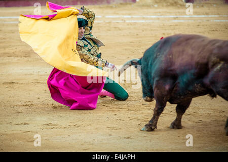 Valencia, Spanien. 16. März 2014. Spanischer Stierkämpfer JUAN JOSE PADILLA führt einen Capote Pass beim Stierkampf in der Plaza Toros de Valencia, während die Fallas. Ein paar tausend Zuschauern gab Juan Jose Padilla ein Held empfangen in der Plaza de Toros von Valencia während die Fallas. Padilla trägt eine Augenklappe, gewinnt den Spitznamen "The Pirate", da er von einem Stier im Jahr 2011 schwer verletzt wurde. © Matthias Oesterle/ZUMA Wire/ZUMAPRESS.com/Alamy Live-Nachrichten Stockfoto