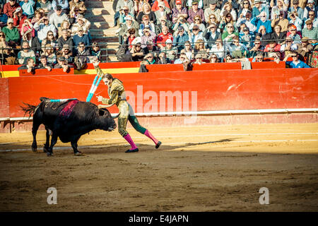 Valencia, Spanien. 16. März 2014. Spanischer Stierkämpfer JUAN JOSE PADILLA beim Stierkampf in der Plaza Toros de Valencia während die Fallas. Ein paar tausend Zuschauern gab Juan Jose Padilla ein Held empfangen in der Plaza de Toros von Valencia während die Fallas. Padilla trägt eine Augenklappe, gewinnt den Spitznamen "The Pirate", da er von einem Stier im Jahr 2011 schwer verletzt wurde. © Matthias Oesterle/ZUMA Wire/ZUMAPRESS.com/Alamy Live-Nachrichten Stockfoto