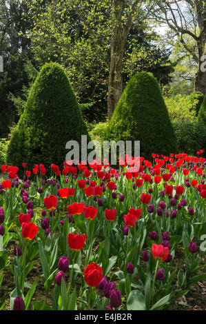 Die Gärten von Constable Burton Hall, North Yorkshire Stockfoto