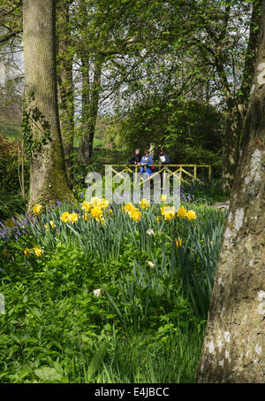 Die Gärten von Constable Burton Hall, North Yorkshire Stockfoto