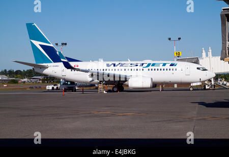 WestJet Airlines Boeing 737-700 geparkt auf dem Vorfeld bei Victoria International Airport (YYJ) in Sidney, BC, Kanada. Stockfoto