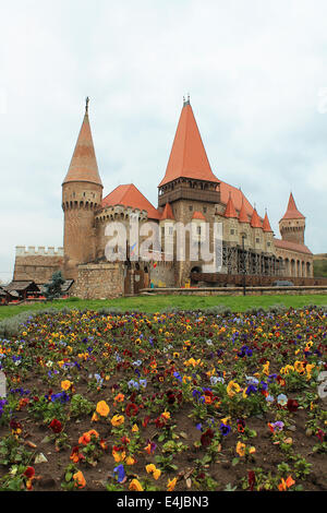 Hunyad oder Corvin Burg Hunedoara, Siebenbürgen, Rumänien mit bunten Blumen im Vordergrund. Stockfoto