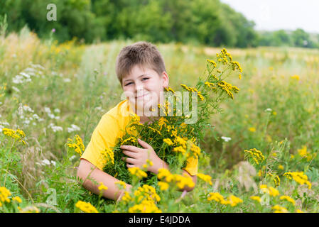 Junge auf Wiese mit Rainfarn Stockfoto