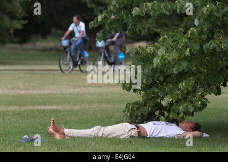 Kensington, London, UK. 13. Juli 2014. Ein Mann schläft unter einem Baum im Hyde Park in London an einem warmen Tag des sonnigen Wetters Credit: Amer Ghazzal/Alamy Live-Nachrichten Stockfoto