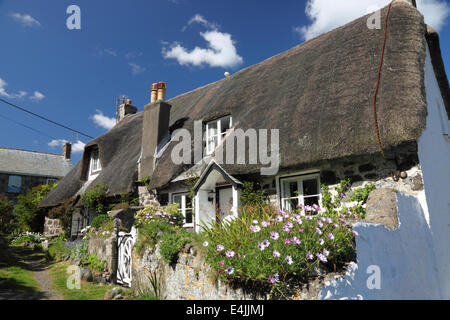 Eine strohgedeckte Hütte mit Blumen unter blauem Himmel. Stockfoto