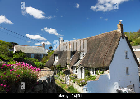 Eine strohgedeckte Hütte mit rosa Blumen unter blauem Himmel. Stockfoto