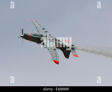 Fairford, Gloucs, UK. 12. Juli 2014. Zespol Akrobacyjny Orlik, die polnische Luftwaffe Kunstflugstaffel in 2014 Royal International Air Tattoo an RAF Fairford auf 12. Juli Kredit anzeigen: Niall Ferguson/Alamy Live News Stockfoto