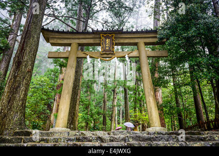 Kumano Kodo Heiligen Trail in Wakayama, Japan. Stockfoto