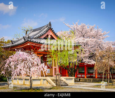 Sanjusangen-Do Tempelgelände während der Frühjahrssaison in Kyoto, Japan. Stockfoto