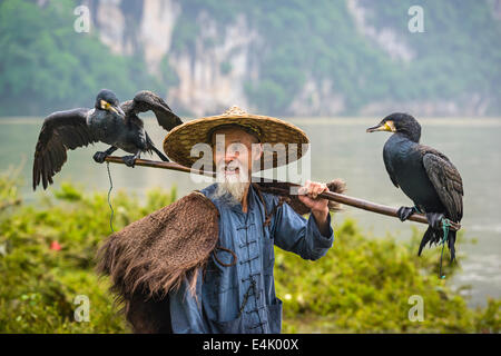 Kormoran Fischer und seine Vögel auf dem Li-Fluss in Yangshuo, Guangxi, China. Stockfoto