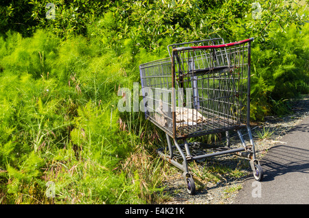 Ein Warenkorb verlassen auf einem Gehweg in einem park Stockfoto