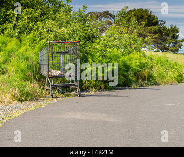Ein Warenkorb verlassen auf einem Gehweg in einem park Stockfoto