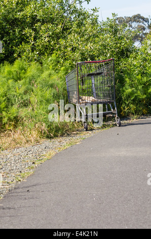 Ein Warenkorb verlassen auf einem Gehweg in einem park Stockfoto