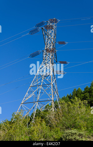 Ein Electrcial-Sendemast unterstützt Hochspannung Stromleitungen Stockfoto