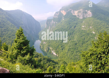 wunderschöne Natur, River im canyon Stockfoto