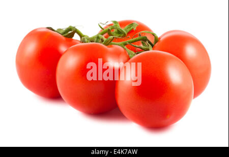 Zweig der Tomaten Stockfoto
