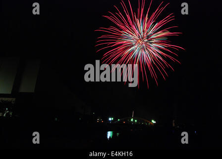 Feuerwerk in verschiedenen Farben über Nachthimmel Stockfoto