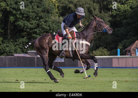 Windsor Guards Polo club Stockfoto