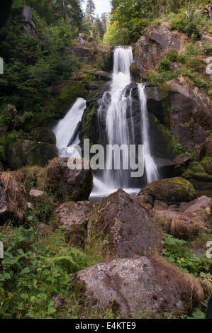 Deutschland, Baden-Wurttemberg, Triberger Wasserfälle Naturschutzgebiet am Fluss Gutach im Schwarzwald Stockfoto