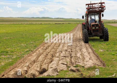 Hebridean croft Bauern pflügen Furchen in einem Feld der traditionellen machair Grünland mit einem Traktor Ziehen einer Pflugschar auf North Uist Schottland Großbritannien Stockfoto