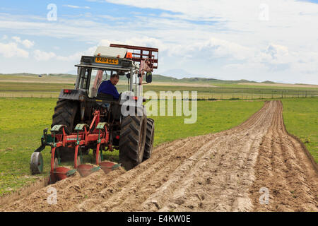 Croft Bauern pflügen Furchen in einem Feld der traditionellen Country Side machair Grünland mit einem Traktor Ziehen einer Pflugschar. Äußere Hebriden Schottland Großbritannien Stockfoto