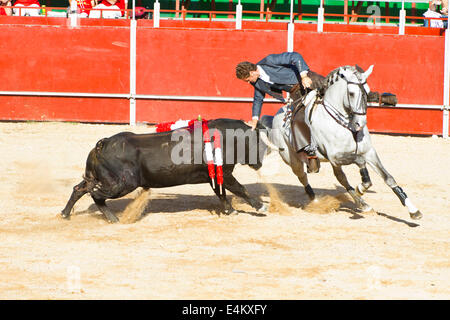 MADRID, Spanien - 10 SEPTEMBER: Stierkämpfer zu Pferd, Stierkampf. 10. September 2010 in Madrid (Spanien) Stockfoto