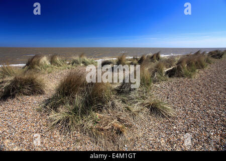 Sommer, Dunwich Heide Strand, Suffolk County, East Anglia, England. Stockfoto