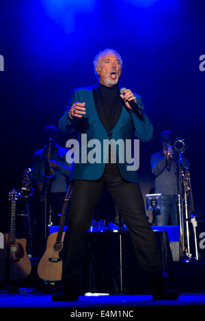 Walisische Sänger Tom Jones führt bei Chepstow Racecourse in Südwales. Stockfoto