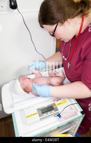 Hebamme führt die körperliche Untersuchung Gesundheit check testen auf Neugeborene / new born Baby nach der Geburt / geboren zu sein. UK Stockfoto