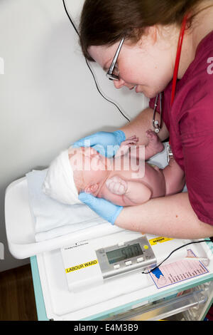 Hebamme führt die körperliche Untersuchung Gesundheit check testen auf Neugeborene / new born Baby nach der Geburt / geboren zu sein. UK Stockfoto