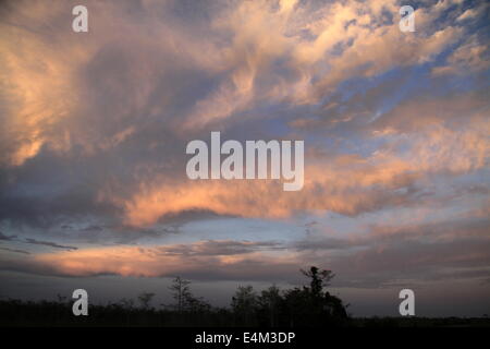 Glühende cirrus Stockfoto