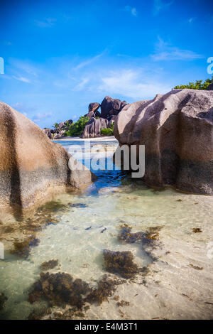 Felsen übersäten tropischen Strand mit kristallklarem Wasser Stockfoto