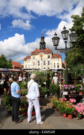 Weekley Markt vor dem Rathaus, Lüneburg, Lüneburg, Niedersachsen, Deutschland, Europa Stockfoto