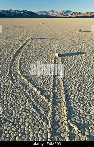 Felsen und Tracks, The Racetrack, Death Valley Nationalpark, Kalifornien USA Stockfoto