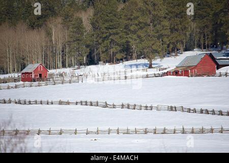 Schöne Winter-Szene von Schnee und roten Scheunen auf einer Farm in den Rocky Mountains in Colorado. Stockfoto