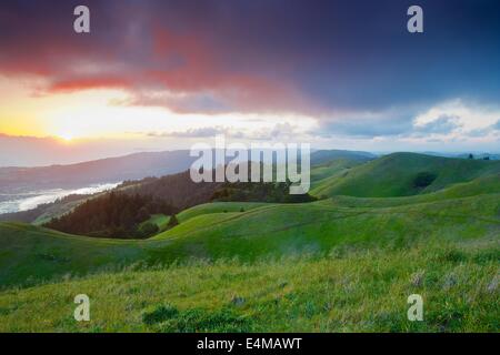 Sonnenuntergang am Bolinas Ridge, Mt. Tamalpais State Park, Marin County, Kalifornien, im Frühjahr. Stockfoto