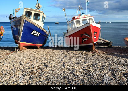 Bier, Angelboote/Fischerboote in Sommer, East Devon, England, UK Stockfoto