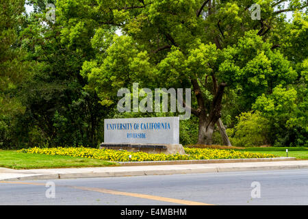 Der Campus der University of California in Riverside, Kalifornien USA Stockfoto