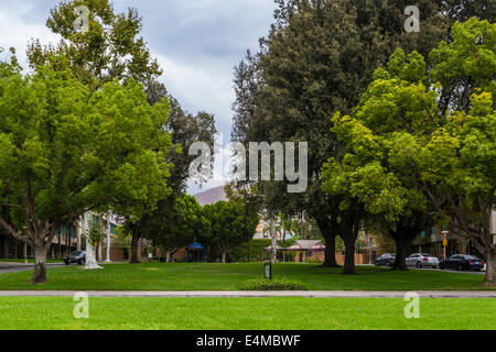 Der Campus der University of California in Riverside, Kalifornien USA Stockfoto