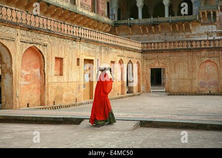 Eine Frau trägt einen roten Sari trägt ein Tablett auf dem Kopf am gelben Fort in Jaipur, Rajasthan Stockfoto