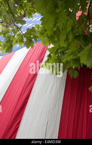 Große amerikanische Flagge hängen an einer Wand neben einem Baum. Stockfoto