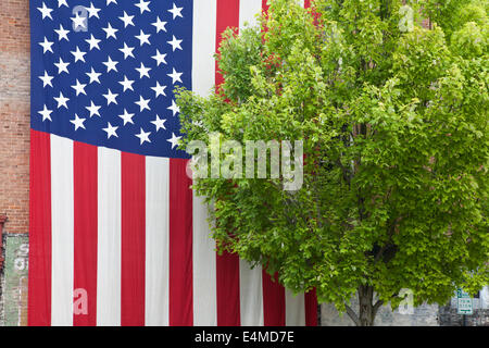 Große amerikanische Flagge hängen an einer Wand neben einem Baum. Stockfoto